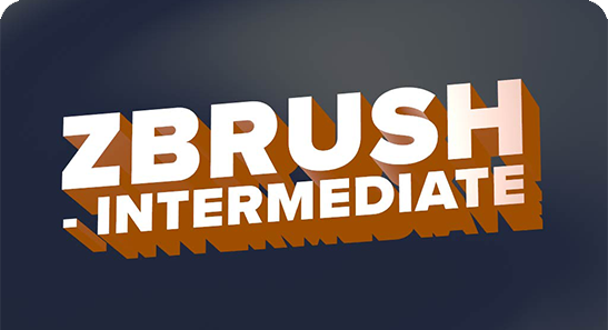 Z-BRUSH INTERMEDIATE